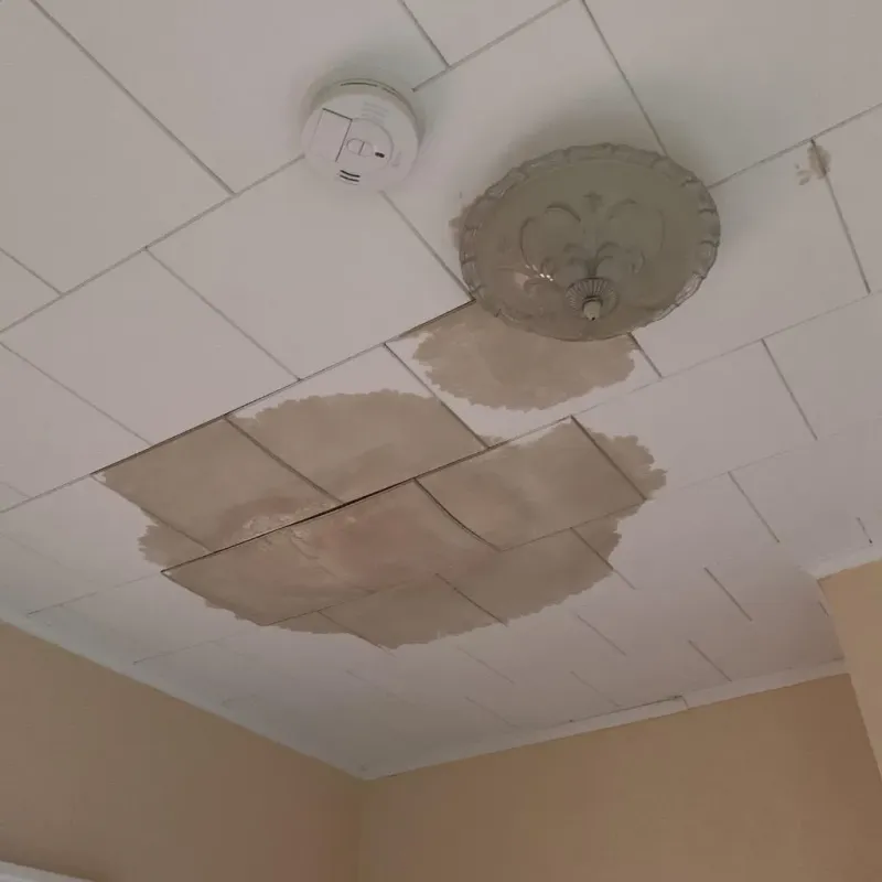 Ceiling Water Damage Repair in Marksville, LA